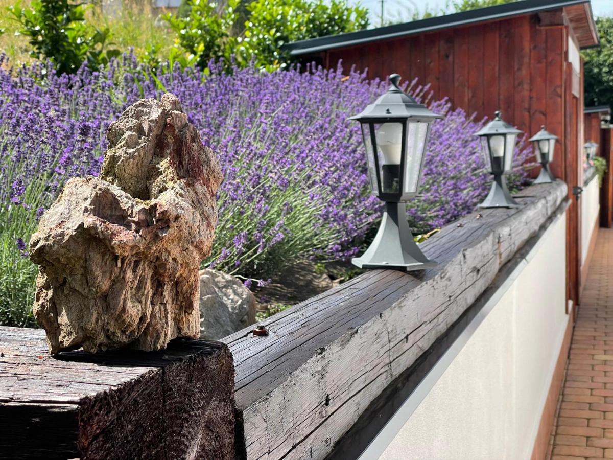 SG chalupa ŠTIKOV - Podkrkonoší - s celoročním privátním wellness Nová Paka Esterno foto